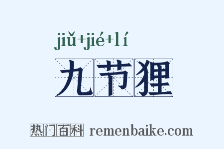九节狸是什么意思的图片